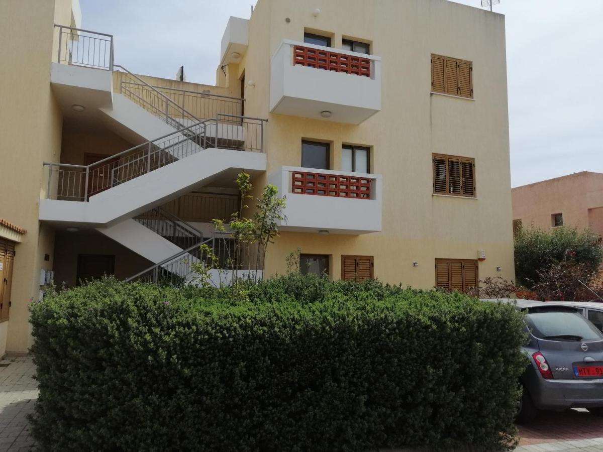 Dream Place For Relax, Sun And Sea All Year Round Paphos Eksteriør bilde